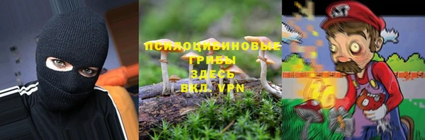 дмт Кулебаки