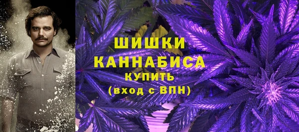 метадон Касимов